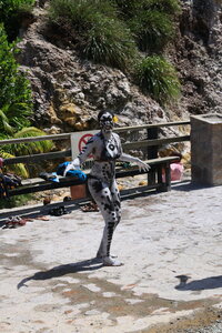 Dreamyacht 2025, 049A3119