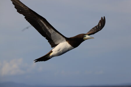 Dreamyacht 2025, 049A3313