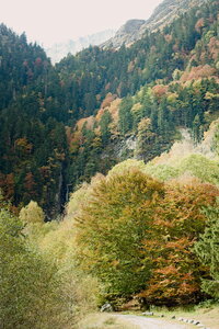 2025 : Cascade de l'Enfer, IMGP3717