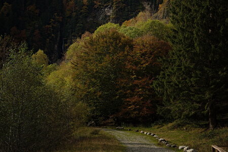 2025 : Cascade de l'Enfer, IMGP3716