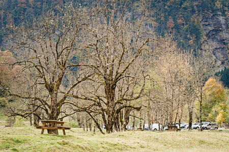 2025 : Cascade de l'Enfer, IMGP3712