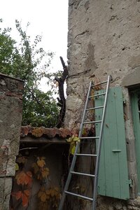 Charroux octobre 2025, 2025-10-19_0002