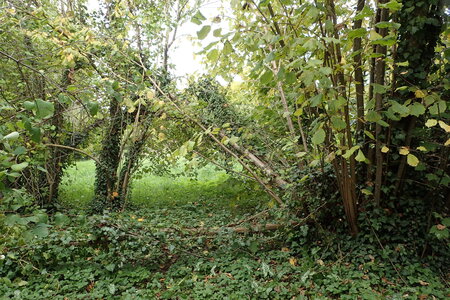 Charroux octobre 2025, 2025-10-19_0004