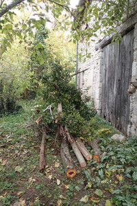 Charroux octobre 2025, 2025-10-19_0005