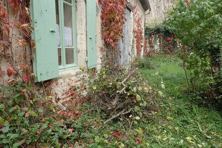 Charroux octobre 2025, 2025-10-19_0006