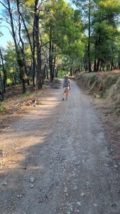 1997_Sprorades, 5042