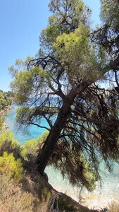 1997_Sprorades, 5102