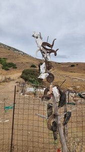 1997_Sprorades, 6007