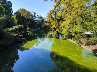 Voyage à Bordeaux, Jardin public Bordeaux  1 