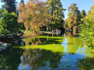 Voyage à Bordeaux, Jardin public Bordeaux  2 
