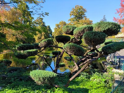 Voyage à Bordeaux, Jardin public Bordeaux  3 