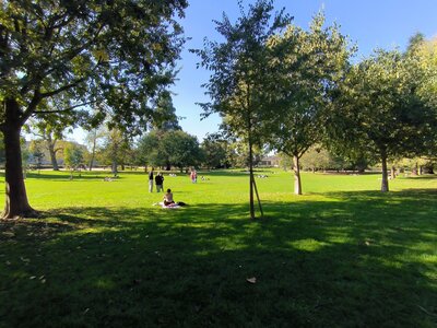Voyage à Bordeaux, Jardin public Bordeaux  4 