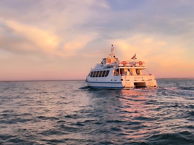 Phare de Cordouan, 2025-10-18 - Phare de Cordouan  16 