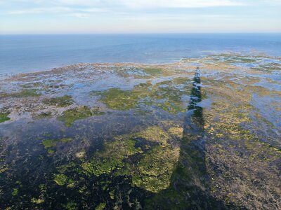 Phare de Cordouan, 2025-10-18 - Phare de Cordouan  49 