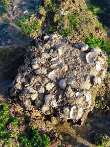 Phare de Cordouan, 2025-10-18 - Phare de Cordouan  69 