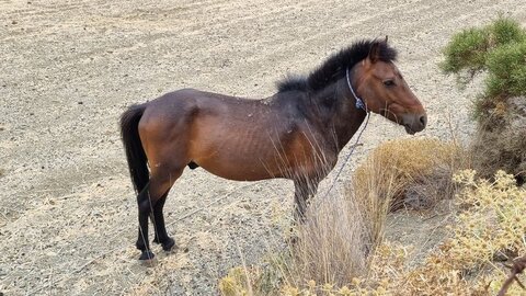 1997_Sprorades, 6035