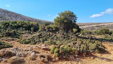 1997_Sprorades, 6045