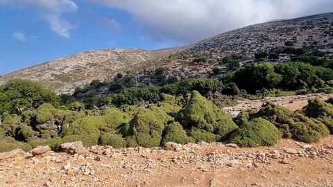 1997_Sprorades, 6046