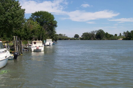 2006 : Camargues, camargue2006 001-1