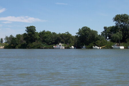 2006 : Camargues, camargue2006 002-1