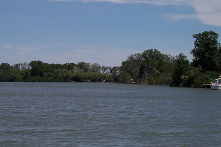 2006 : Camargues, camargue2006 003-1