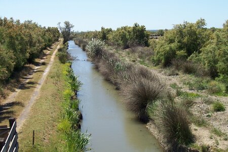 2006 : Camargues, camargue2006 013
