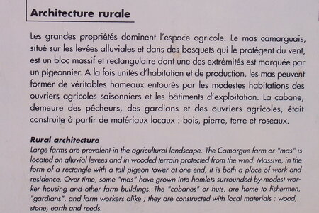 2006 : Camargues, camargue2006 017-1