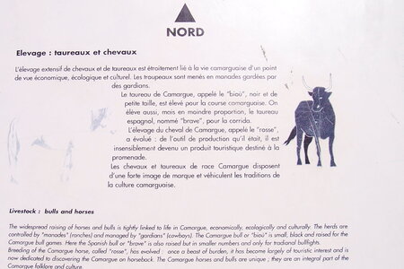 2006 : Camargues, camargue2006 018-1