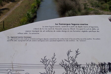 2006 : Camargues, camargue2006 019-1
