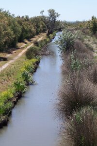 2006 : Camargues, camargue2006 022
