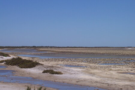 2006 : Camargues, camargue2006 044