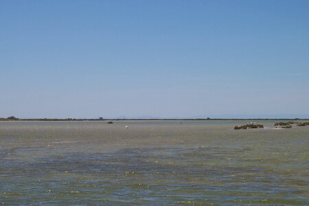 2006 : Camargues, camargue2006 045