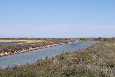 2006 : Camargues, camargue2006 050