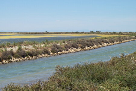2006 : Camargues, camargue2006 051