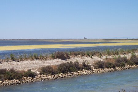 2006 : Camargues, camargue2006 052