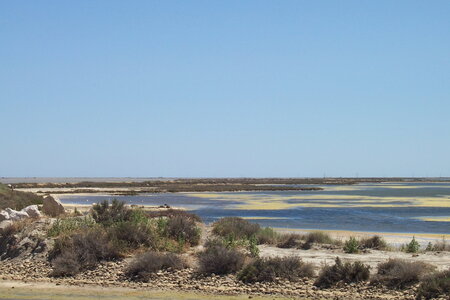 2006 : Camargues, camargue2006 054