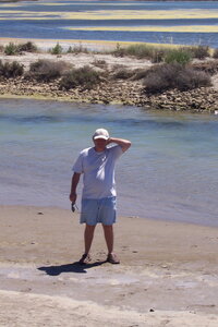 2006 : Camargues, camargue2006 056