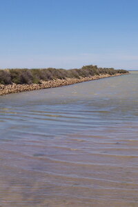 2006 : Camargues, camargue2006 057