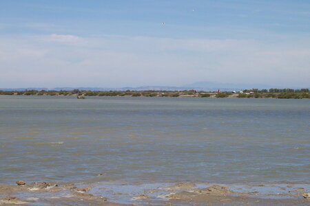 2006 : Camargues, camargue2006 058