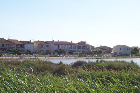 2006 : Camargues, camargue2006 070