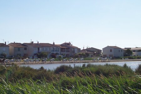 2006 : Camargues, camargue2006 071