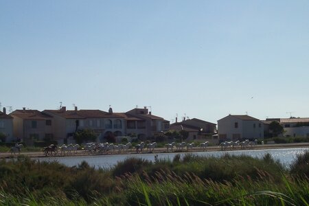 2006 : Camargues, camargue2006 072