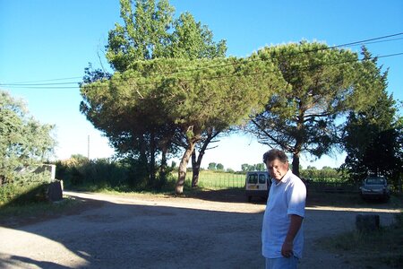 2006 : Camargues, camargue2006 078