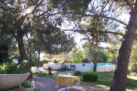 2006 : Camargues, camargue2006 080