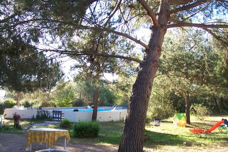 2006 : Camargues, camargue2006 081