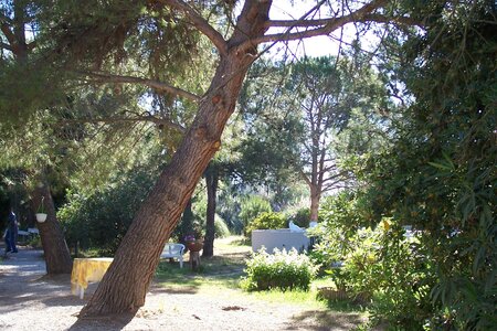 2006 : Camargues, camargue2006 085