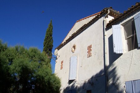 2006 : Camargues, camargue2006 086