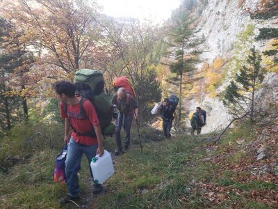 Chantier TàP Pison octobre 2025, IMG_20251022_223955_825