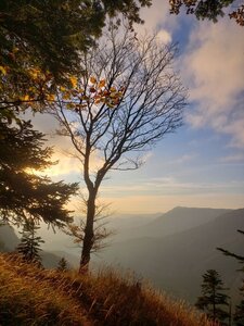 Chantier TàP Pison octobre 2025, IMG_20251022_223903_235