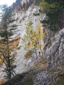 Chantier TàP Pison octobre 2025, IMG_20251022_223908_955